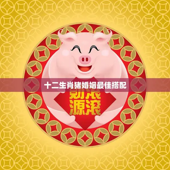 十二生肖猪婚姻最佳搭配(揭秘哪些生肖最适合与猪组成幸福家庭)