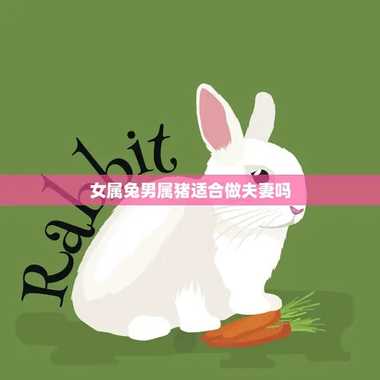 女属兔男属猪适合做夫妻吗(探讨星座配对真的靠谱吗)