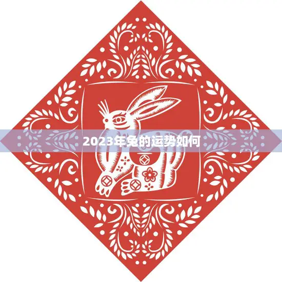 2023年兔的运势如何(未来三年兔子们的财运将会有所提升)
