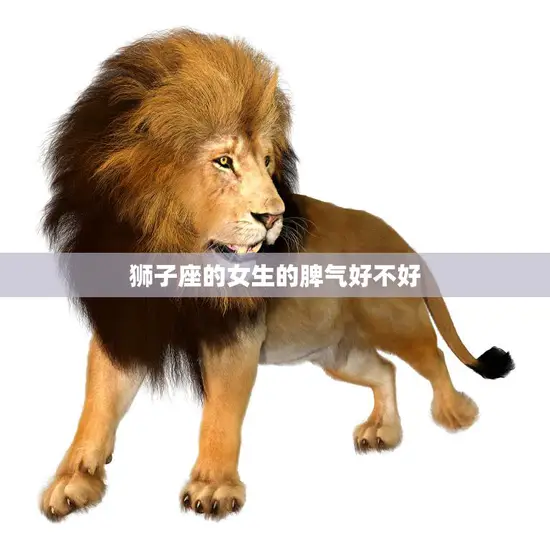 狮子座的女生的脾气好不好(探究是烈火还是温柔)