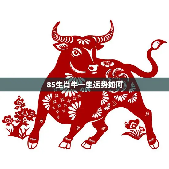 85生肖牛一生运势如何(牛年出生的人运势如何)