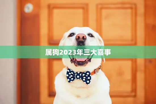 属狗2023年三大喜事(狗年婚礼、财运亨通、事业大发展)