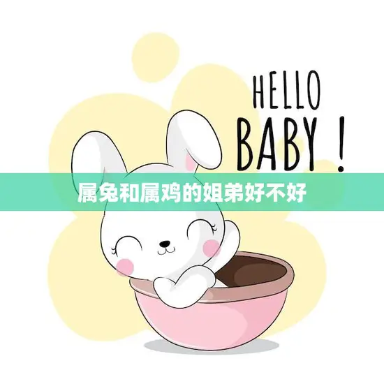 属兔和属鸡的姐弟好不好(十二生肖中的姐弟组合是否合拍)