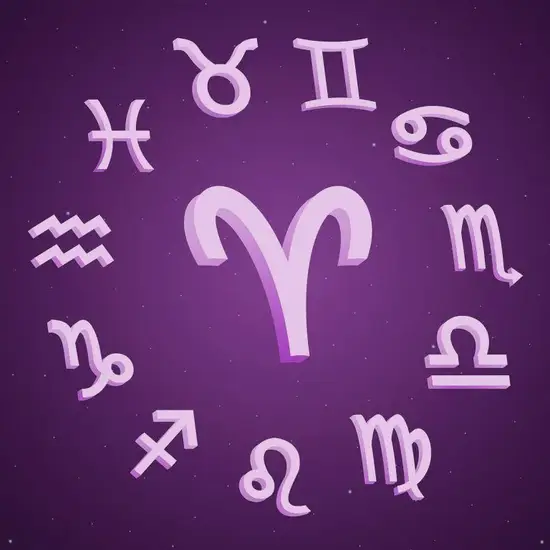 白羊座男生行动力