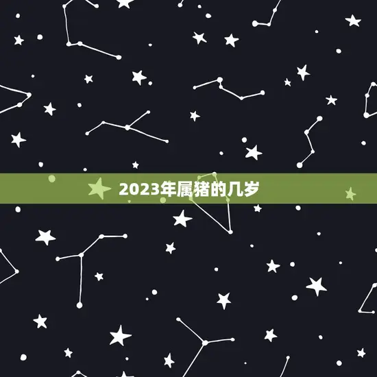 2023年属猪的几岁(猪年宝宝的指南)