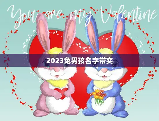 2023兔男孩名字带奕(寓意吉祥如何选择最合适的名字)