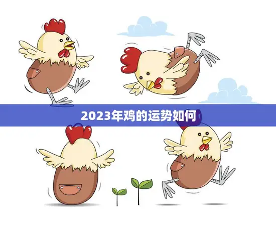 2023年鸡的运势如何(翻转命运迎来新机遇)
