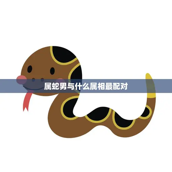 属蛇男与什么属相最配对(完美配对指南)