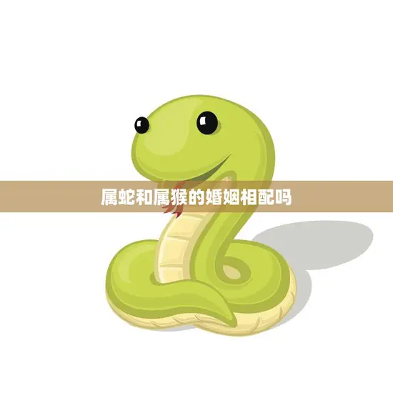 属蛇和属猴的婚姻相配吗(探究星座配对的真相)