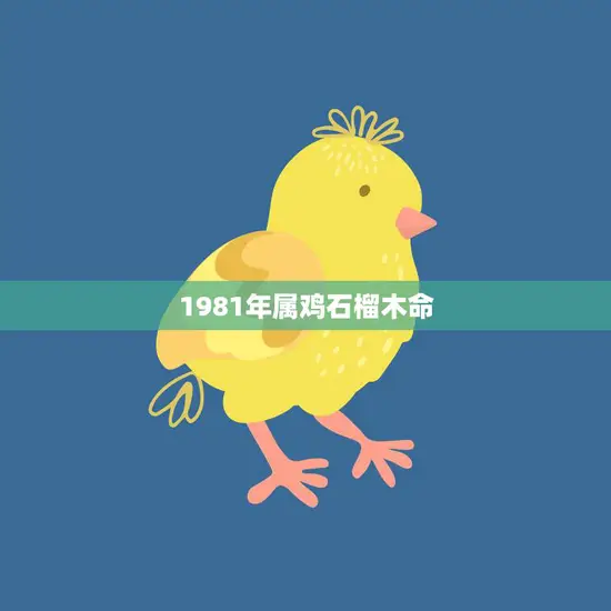 1981年属鸡石榴木命(的性格特点与命运解析)