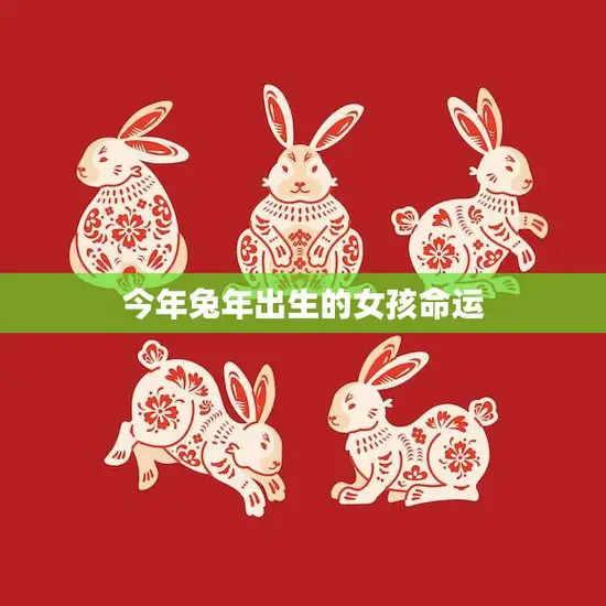 今年兔年出生的女孩命运(兔年女孩的未来如何)