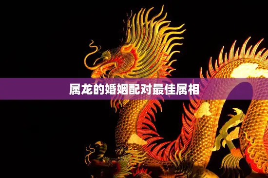 属龙的婚姻配对最佳属相(如何选择最适合的伴侣)