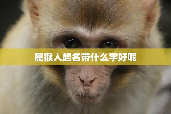属猴人起名带什么字好呢(如何选择适合属猴人的名字)