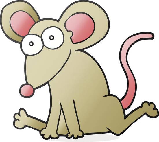 属鼠的婚姻搭配最佳生肖(如何选择)