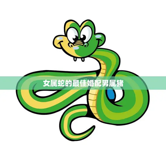 女属蛇的最佳婚配男属猪(幸福长久的秘诀)