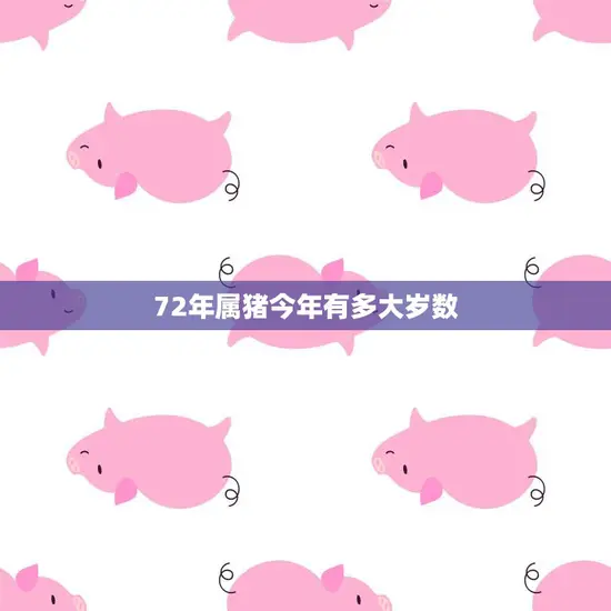 72年属猪今年有多大岁数(猪年大吉72年属猪人的年龄如何)