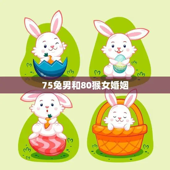 75兔男和80猴女婚姻(相遇缘起幸福共舞)