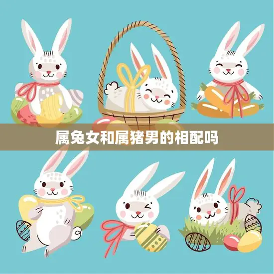 属兔女和属猪男的相配吗(星座配对分析)
