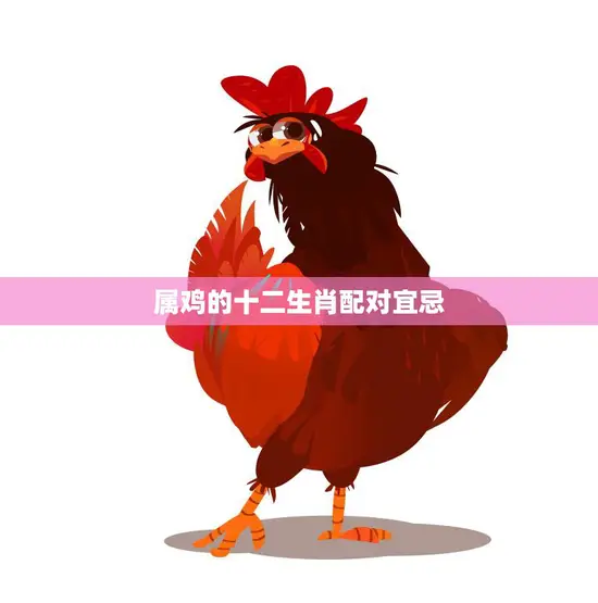 属鸡的十二生肖配对宜忌(如何避免桃花劫)