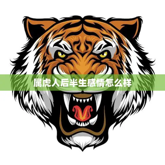 属虎人后半生感情怎么样(解析幸福还是波折)