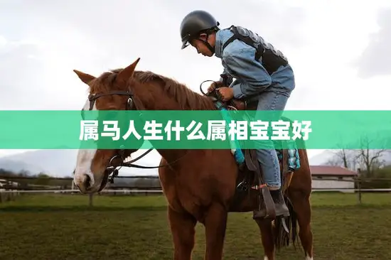 属马人生什么属相宝宝好(如何选择最佳宝宝属相)