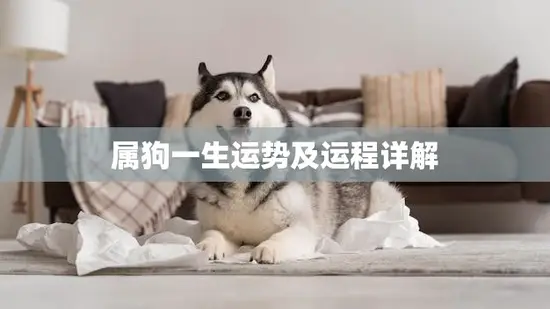 属狗一生运势及运程详解(狗年狗命运势如何)