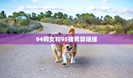 94狗女和95猪男算姻缘(星座配对命中注定的爱情)