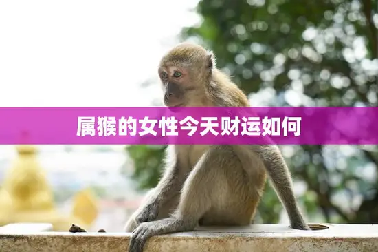属猴的女性今天财运如何(财星高照财源滚滚来)