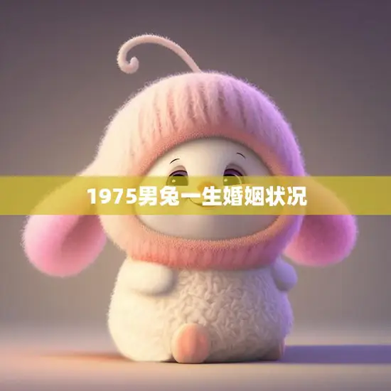 1975男兔一生婚姻状况(婚姻路上的坎坷与幸福)