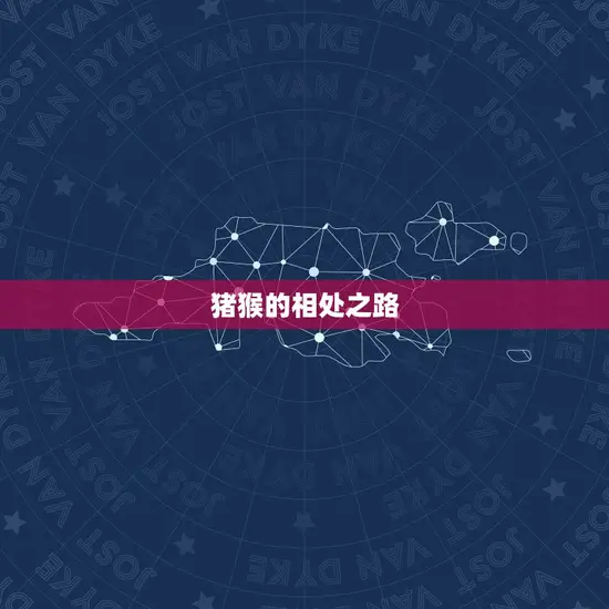 为什么猪猴相配不到头(介绍猪猴性格区别的原因)