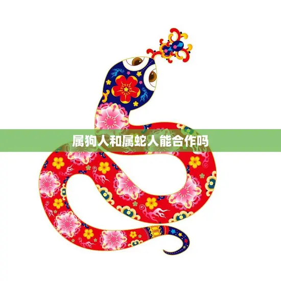 属狗人和属蛇人能合作吗(解析属相配对的奥秘)