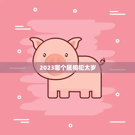 2023哪个属相犯太岁(猪年人注意了)
