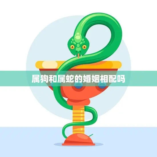 属狗和属蛇的婚姻相配吗(解析属相配对的奥秘)