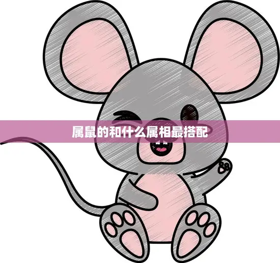 属鼠的和什么属相最搭配(最佳搭档大揭秘)