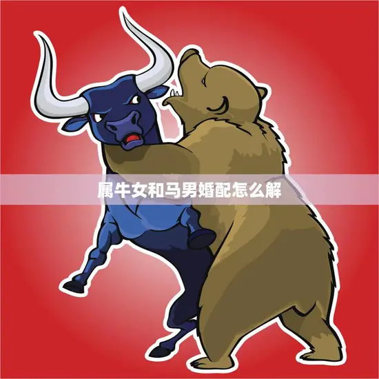 属牛女和马男婚配怎么解(如何化解星座不合之缘)