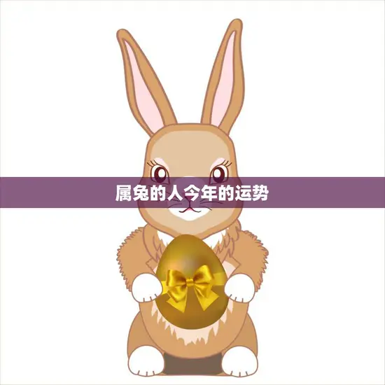 属兔的人今年的运势(2023年会有哪些变化)