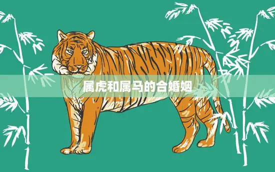 属虎和属马的合婚姻(如何避免矛盾)