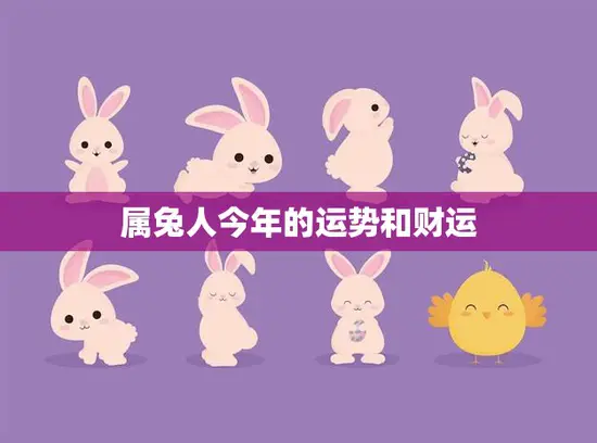 属兔人今年的运势和财运(如何)