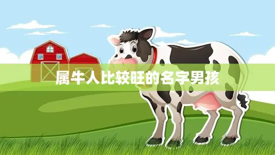 属牛人比较旺的名字男孩(如何选择最佳的命名方式)