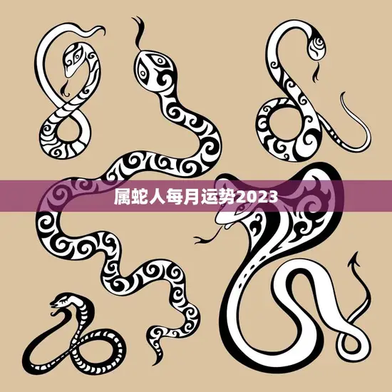 属蛇人每月运势2023(全年好运连连)