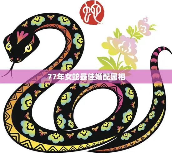 77年女蛇最佳婚配属相(揭秘谁才是最佳伴侣)