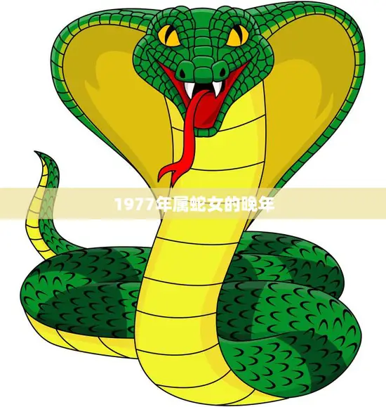 1977年属蛇女的晚年(如何健康长寿)