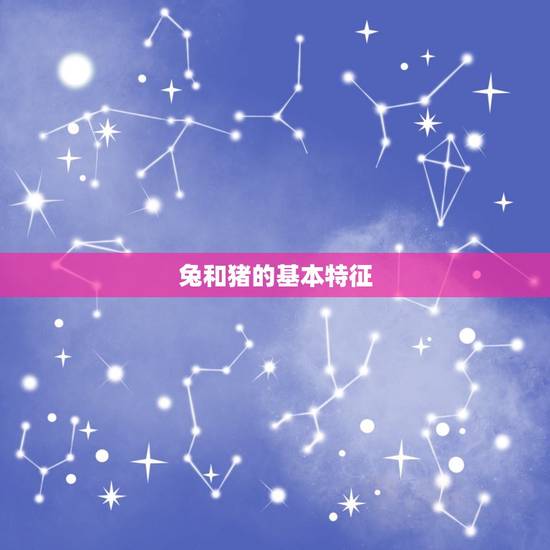 87兔和95猪合不合(生肖配对大介绍)