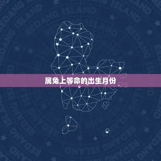 属兔上等命的出生月份(介绍哪些月份的兔子最有福气)