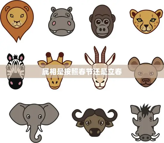 属相是按照春节还是立春(如何确定十二生肖的出生年份)