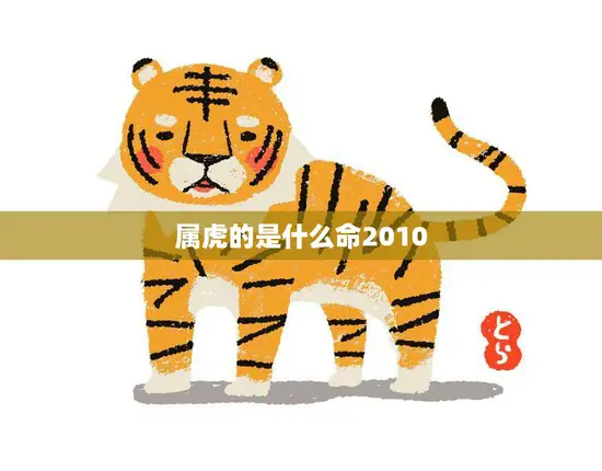 属虎的是什么命2010(2023年运势大揭秘)