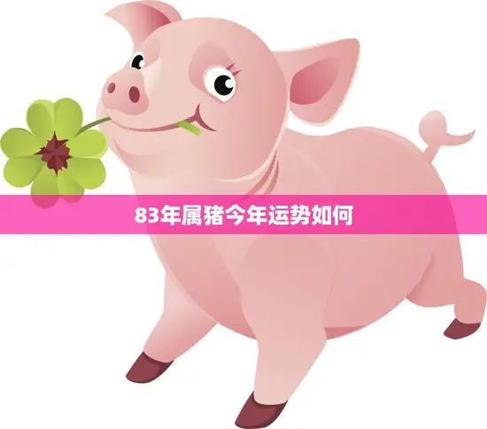83年属猪今年运势如何(猪年大吉财运亨通)