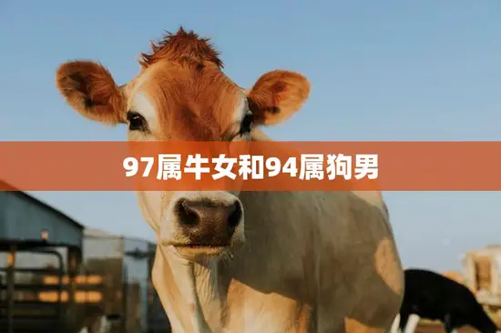 97属牛女和94属狗男(星座配对分析)