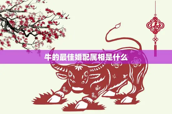 牛的最佳婚配属相是什么(揭秘与哪些属相最配)