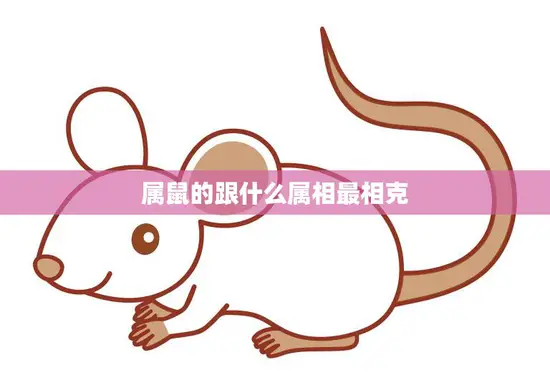 属鼠的跟什么属相最相克(揭秘十二生肖相克关系)